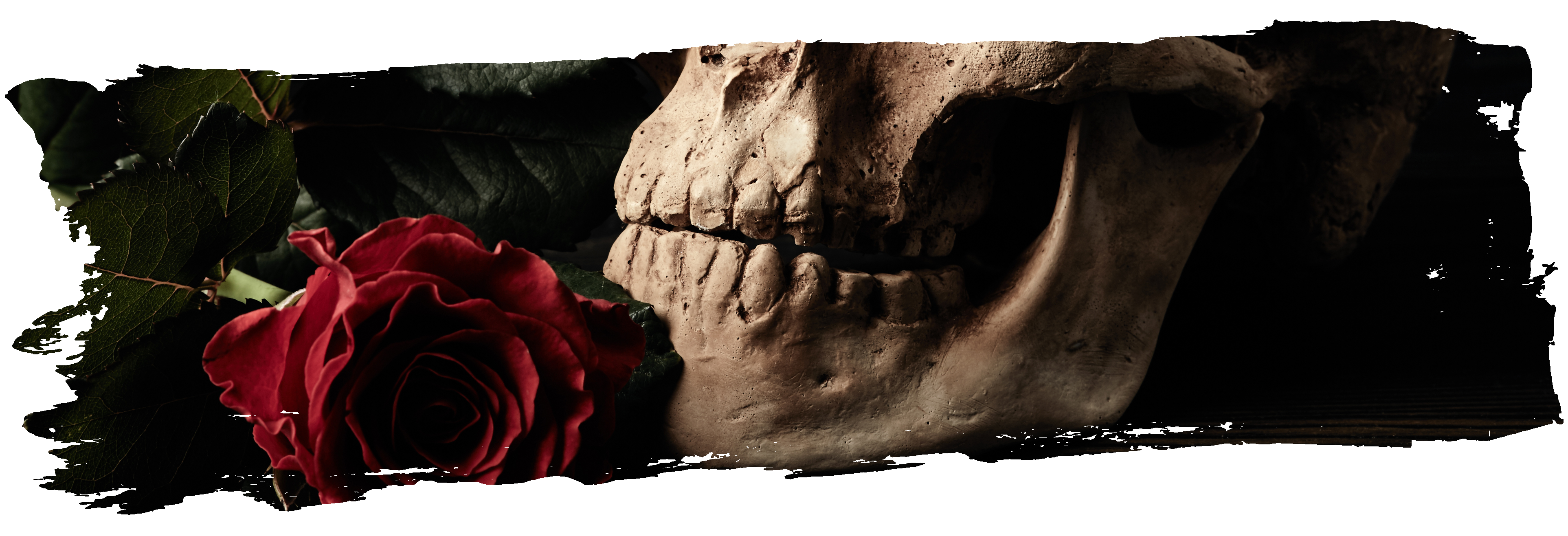 Skull and Rose